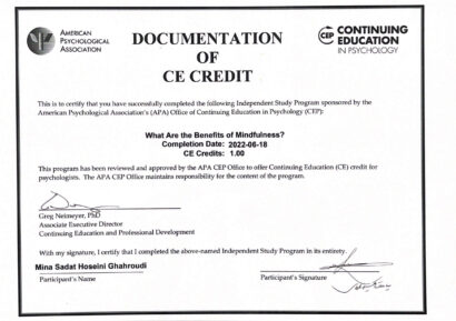 مدارک مینا سادات حسینی - روانشناس