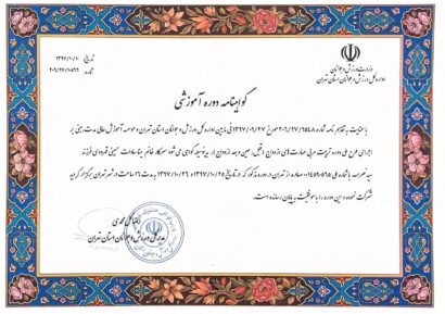 مدارک مینا سادات حسینی - روانشناس